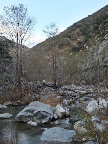 River valley view